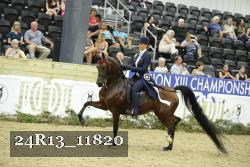 24R13_11820 thumbnail