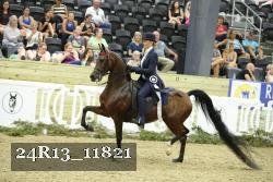 24R13_11821 thumbnail