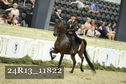 24R13_11822 thumbnail