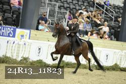 24R13_11823 thumbnail