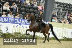 24R13_11824 thumbnail