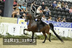 24R13_11825 thumbnail