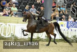 24R13_11826 thumbnail