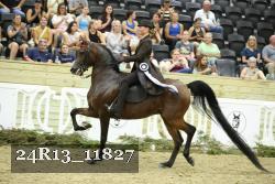 24R13_11827 thumbnail