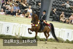 24R13_11828 thumbnail