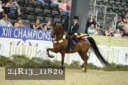 24R13_11829 thumbnail