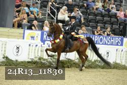 24R13_11830 thumbnail