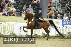 24R13_11831 thumbnail