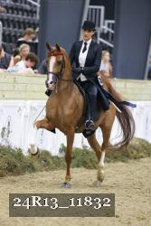 24R13_11832 thumbnail