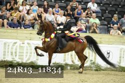 24R13_11834 thumbnail