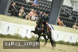 24R13_11838 thumbnail