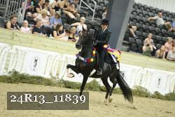 24R13_11839 thumbnail