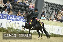 24R13_11840 thumbnail