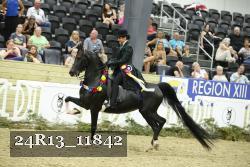 24R13_11842 thumbnail