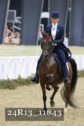 24R13_11843 thumbnail