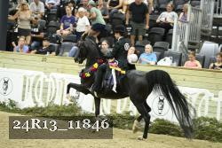 24R13_11846 thumbnail