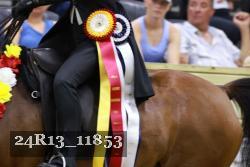 24R13_11853 thumbnail