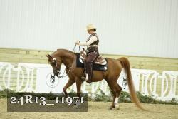 24R13_11971 thumbnail