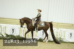 24R13_11986 thumbnail