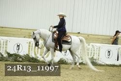 24R13_11997 thumbnail