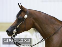24R13_12012 thumbnail