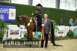 24R13_12014 thumbnail
