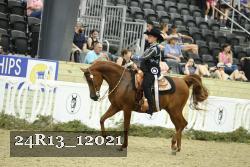 24R13_12021 thumbnail