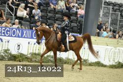 24R13_12022 thumbnail