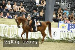 24R13_12025 thumbnail