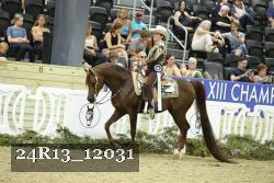 24R13_12031 thumbnail