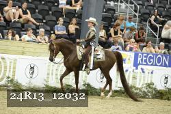 24R13_12032 thumbnail