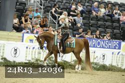 24R13_12036 thumbnail