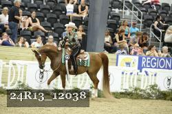 24R13_12038 thumbnail
