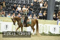 24R13_12039 thumbnail