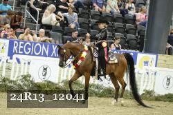 24R13_12041 thumbnail