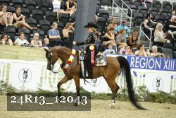 24R13_12043 thumbnail