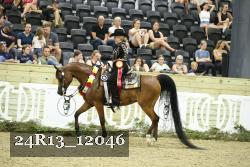 24R13_12046 thumbnail