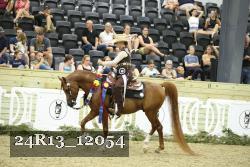 24R13_12054 thumbnail