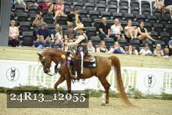 24R13_12055 thumbnail