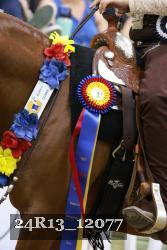 24R13_12077 thumbnail