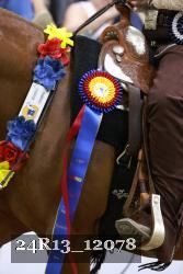24R13_12078 thumbnail