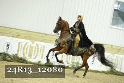 24R13_12080 thumbnail