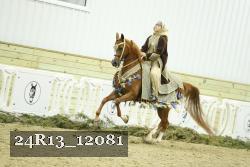 24R13_12081 thumbnail