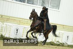 24R13_12085 thumbnail