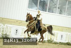 24R13_12088 thumbnail