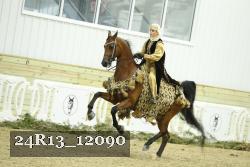 24R13_12090 thumbnail