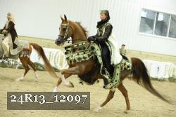 24R13_12097 thumbnail