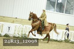 24R13_12098 thumbnail