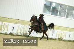24R13_12102 thumbnail