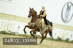 24R13_12106 thumbnail